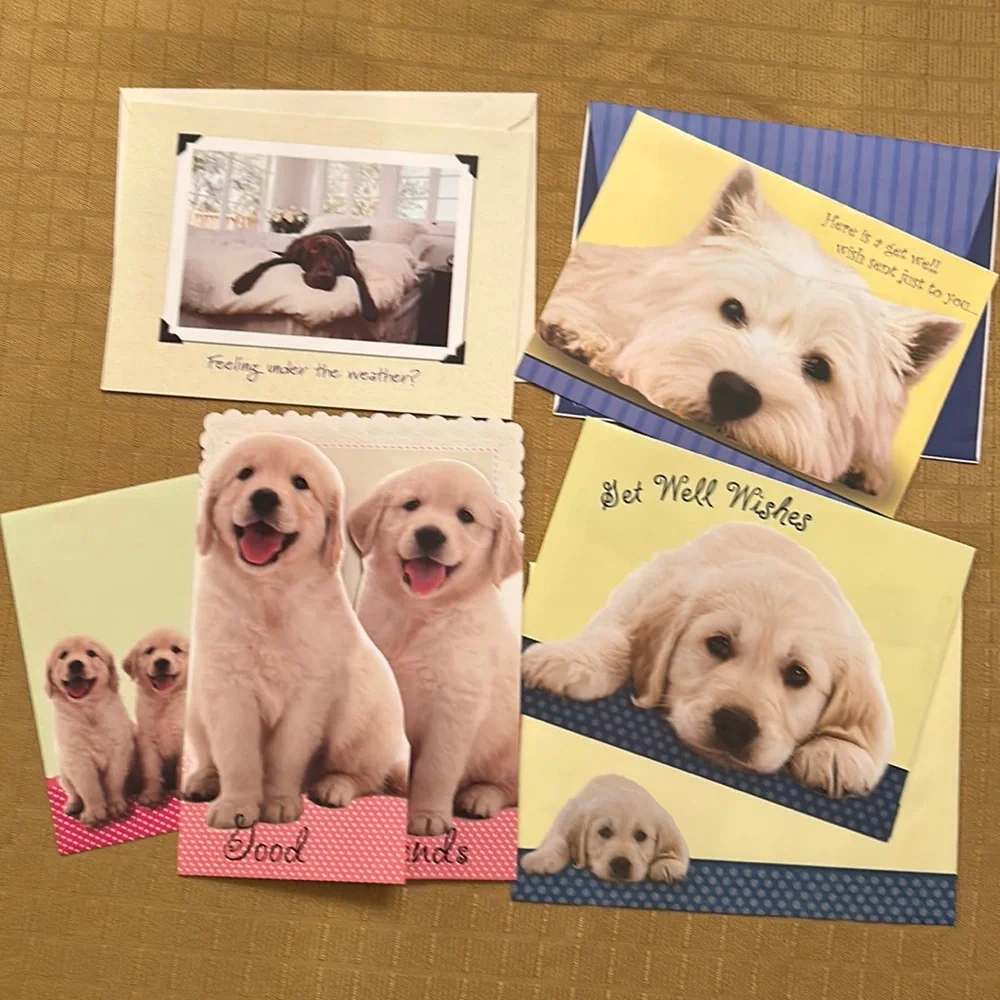 Assorted Get Well / Thinking of You / Sympathy / Blank / Anniversary c…